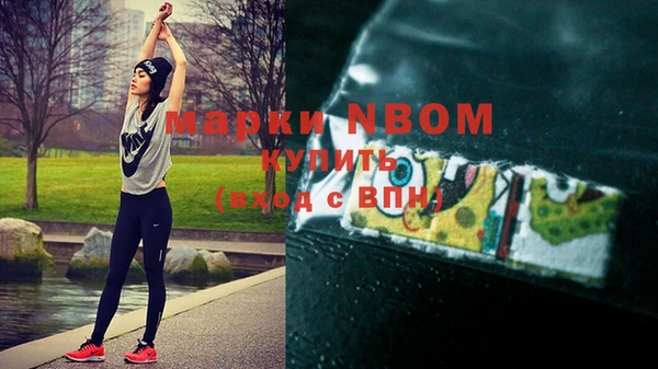 тгк Новокубанск